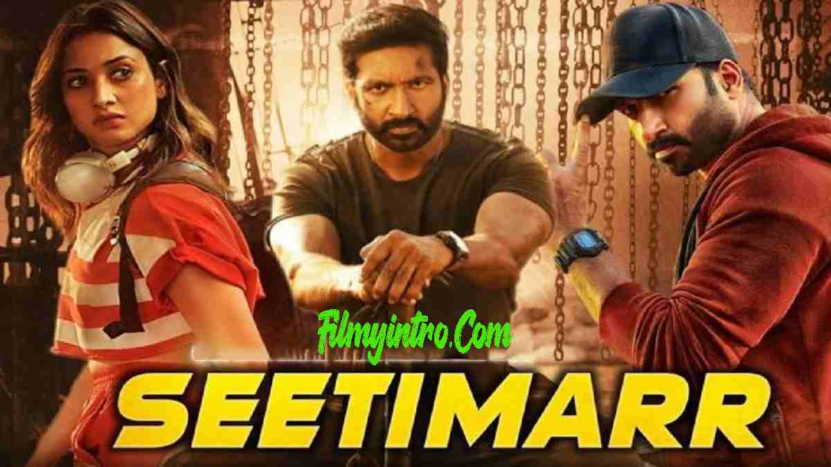 Seetimaarr Movie Download in Hindi Dubbed 480p 720p 1080p Filmywap